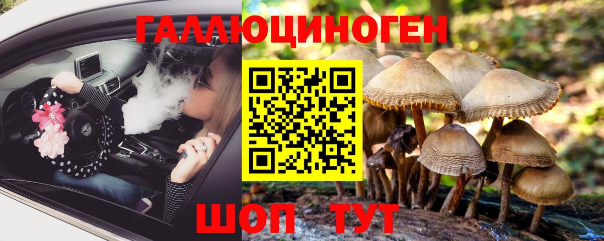 Галлюциногенные грибы Cubensis Лянтор